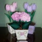 Erika de Oliveira Giollo