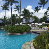 Francielle Vieira Bertoldi