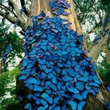 Claudia de Oliveira Rodrigues