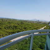 Aurora Barrera y Garcia