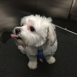 Naiane Clara Clemento