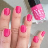 vanessa priscila da silva