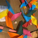 Flávia Meggiolaro Panachão