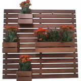 Vicente Izael Ferreira da Silva