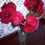 Verônica Corrêa Carriel