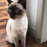 Roberto de Bem Pereira