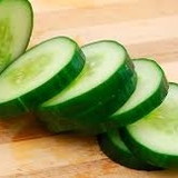 camila diniz utsch carneiro