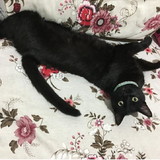 Luciane Rodrigues Machado