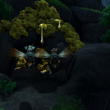 Marcos Paulo Zanelatto