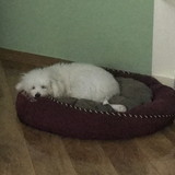 Ana Maria Azevedo Silva