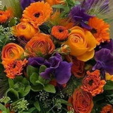 Izabel Francisca Batista