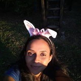 Sonhos de Borboletas