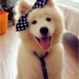 Tuane Nunes de Freitas