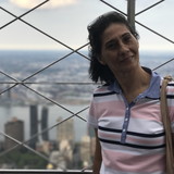 Shirley Cristina Fabbris Cardoso