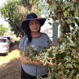 Maria de Fátima da Silva