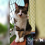 Fernanda Thelma Maciel da Silva