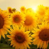 MARIA CRISTINA MENDES RATI