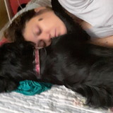 Carla Cronemberger Damasceno