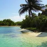 Selma Maria Gomes de Miranda Soares