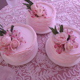 Sônia Glaucia Demonier Gonçalves