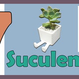 Demarcio Santos da Rosa