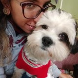 Natália Chahad Rodrigues