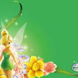 ADRIANA DUARTE RIBEIRO