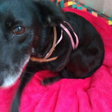 Livia Fernanda Morales