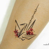 Joice Sasaki de Souza