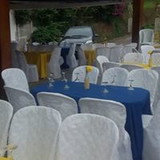 Tania Cristina Fraga