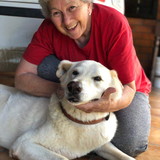 maria da graça beheregaray