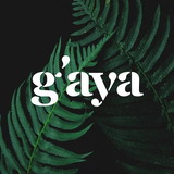 mãe gaya | cheiros e sentidos