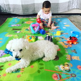 Mariana Roberta Valentim