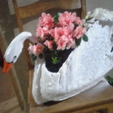 João Marcos Marques Raimundo