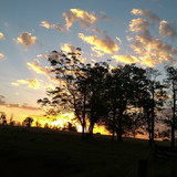 Maria Eduarda Goncalves Nascimento