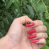 Ana Priscila Gonçalves Monteiro Nascimento