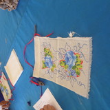 junia de fatima paixao