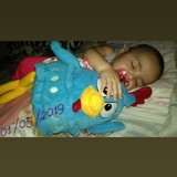 ROSANA SANTOS NASCIMENTO