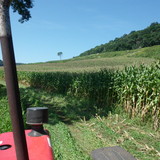 Jean Rodrigo Savoldi