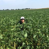 Daniel Murata F. Borges