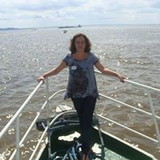 aline  m. romeiro campos