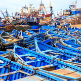 PERNAMBUCO PILOTS SOCIEDADE DE PRATICOS S/S LTDA