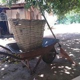 Delza De Sá Yamaguti