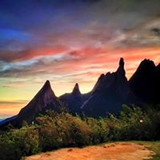 TELMA CARVALHO DA ROCHA GONÇALVES