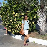 Liliane Sampaio Violinista