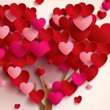 Sibele de Souza Pumes