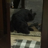 Guilherme Gomes Pereira