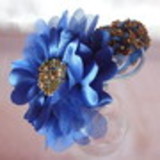 Ana Karla Bernardino de Senna