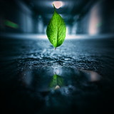 darlan da silva barbosa