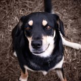 Julia Elisa de Souza Bittencourt